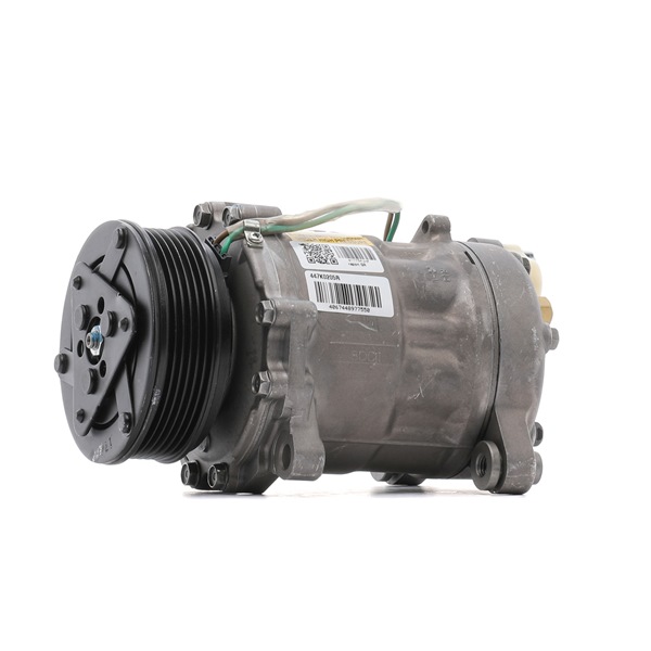 Billige Hersteller-Klimakompressor 447K0205R vergleichbar mit 6N0820803C OEM-Nr im Web einkaufen