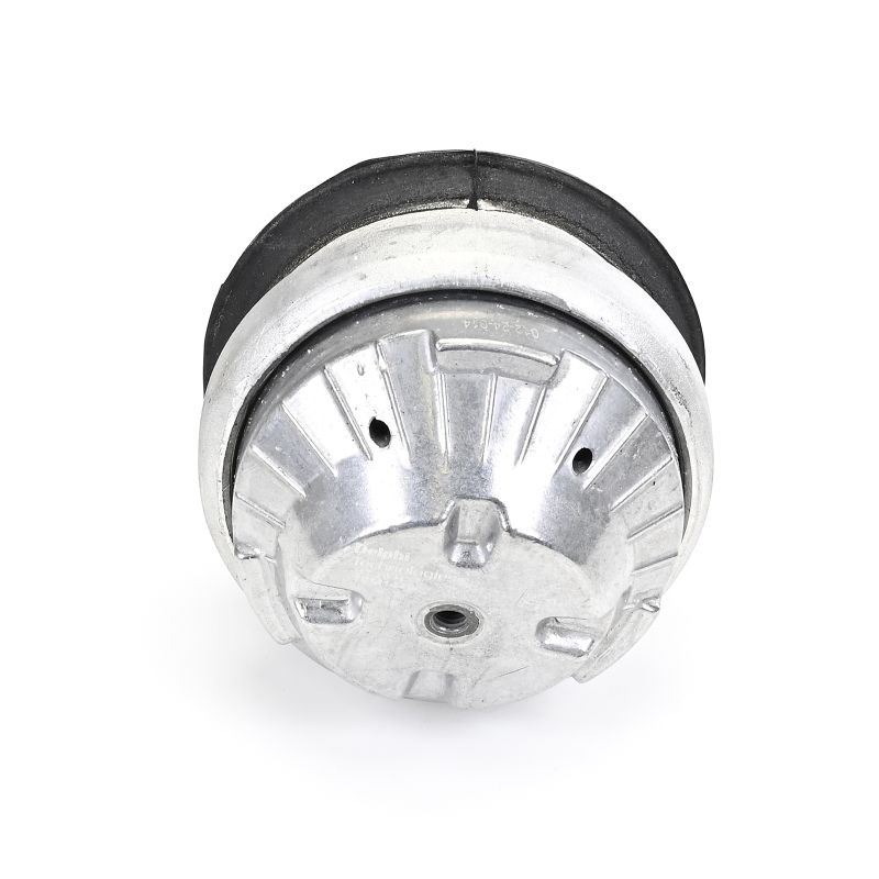 Pirkt DELPHI Piekare, Dzinējs Preces Nr.: TEM144 pie zemu cenu 64,44 €