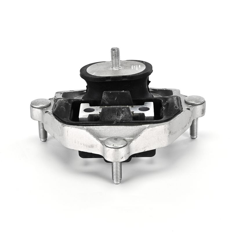 Køb DELPHI Ophæng, automatisk gearkasse Produktnummer.: TEM275 til den lave pris af 361,89 kr.