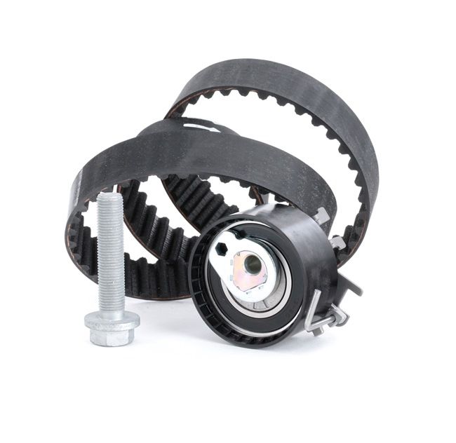 Kupte si levné originální Ozubení, sada rozvodového řemene 530 0195 10 porovnatelné s 1307700QAL OEM čísly online