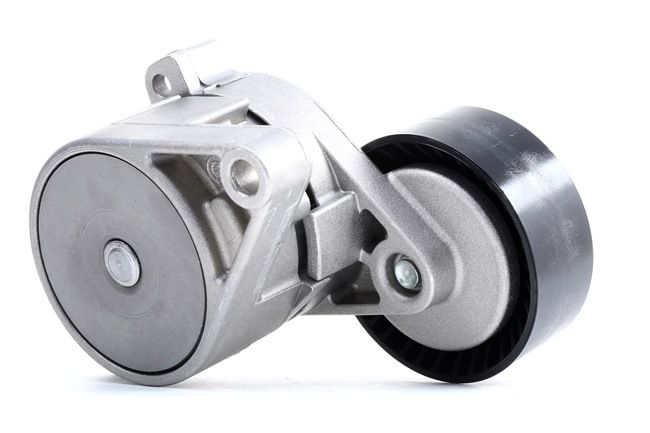 OE Tensor correa poli v BMW 507 1956 11281427252, 11281735899, 11281748832 de INA