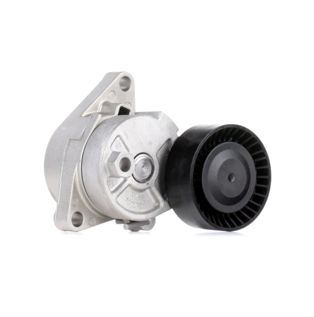 OE Tensor de la correa trapecial poli v BMW 507 1958 11281433571, 11287512758, 1433571 de INA