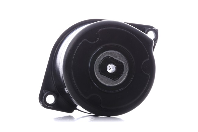 OE Tensor de correa BMW 507 1957 11287786880, 7786880, 11280150310 de INA