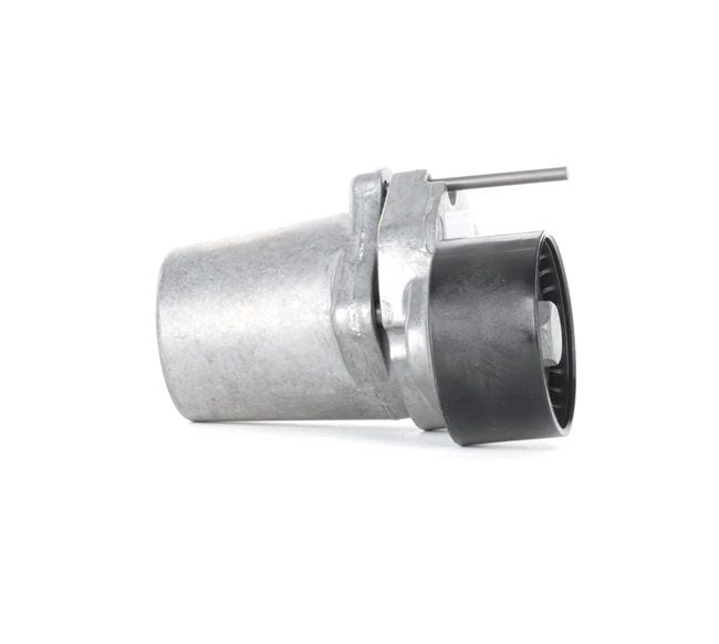 Spannelement für Keilrippenriemen BMW X1 E84 2011 INA 534 0320 10