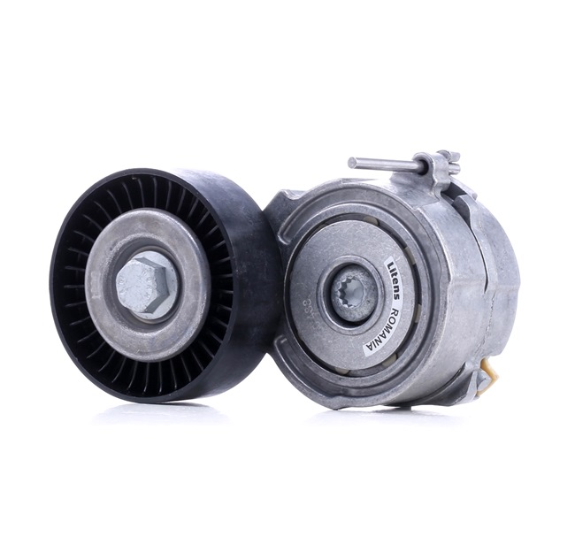 OE Τεντωτήρας ιμάντα, ιμάντας poly-v VW TOUAREG 2021 06E903133A, 06E903133AE, 06E903133AG από INA