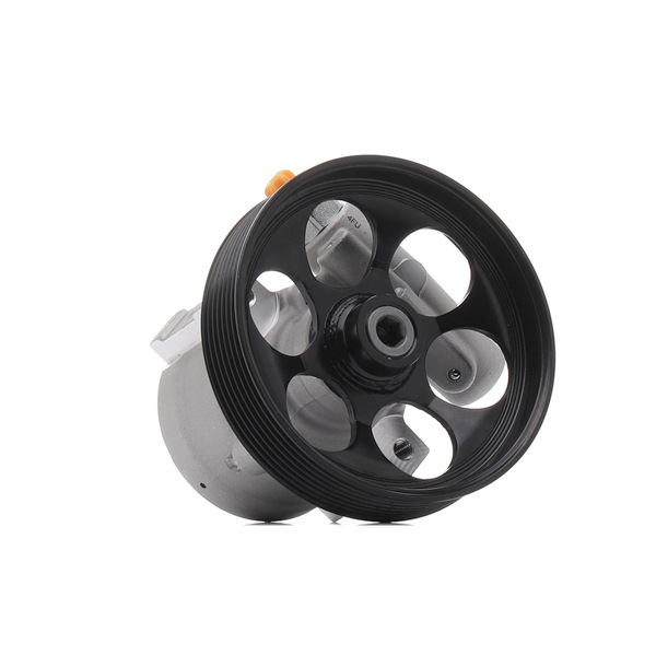 Originale Servopumpe RENAULT 2.0 dCi (JK03, JK04, JK1C, JK1G, JK1J, JK1K) 173 PS Diesel 491A05303R von RIDEX REMAN im Internet zu fairen Preisen
