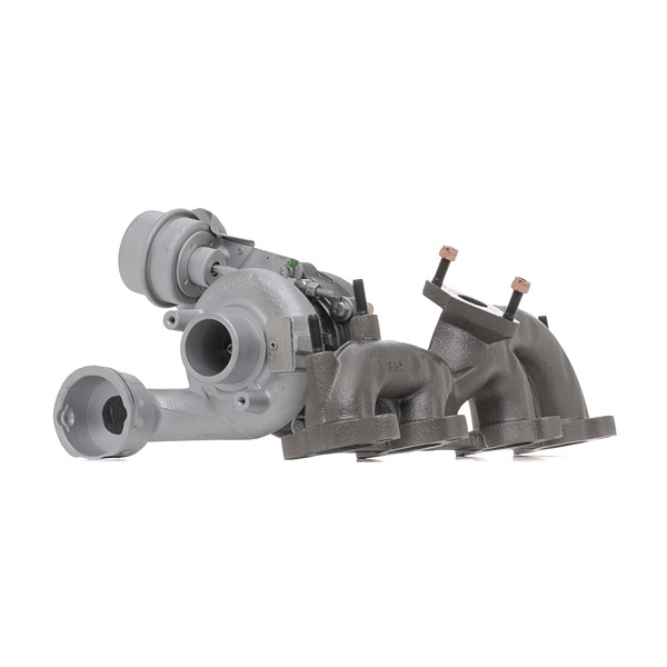 OEM Turbocharger SKODA 1.9 TDI 105 PK Diesel 038253010B van RIDEX REMAN online aan verbazingwekkende prijzen