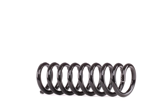 36-133659 BILSTEIN Feder