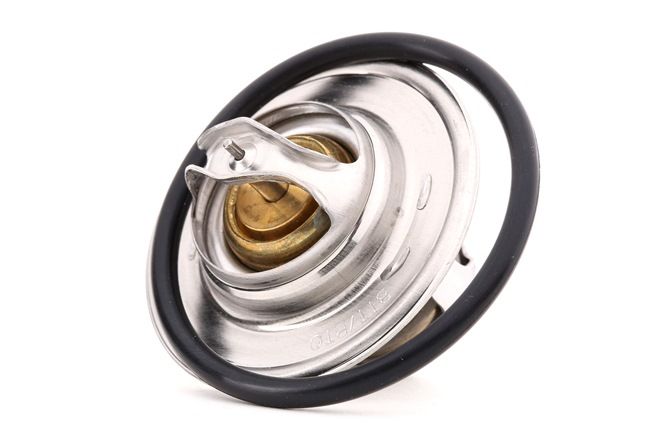 OEM Θερμοστάτης, ψυκτικό υγρό VW 2.0 4motion 120 PS Βενζίνη 050121113C από την BEHR THERMOT-TRONIK ηλεκτρονικά σε χαμηλές τιμές