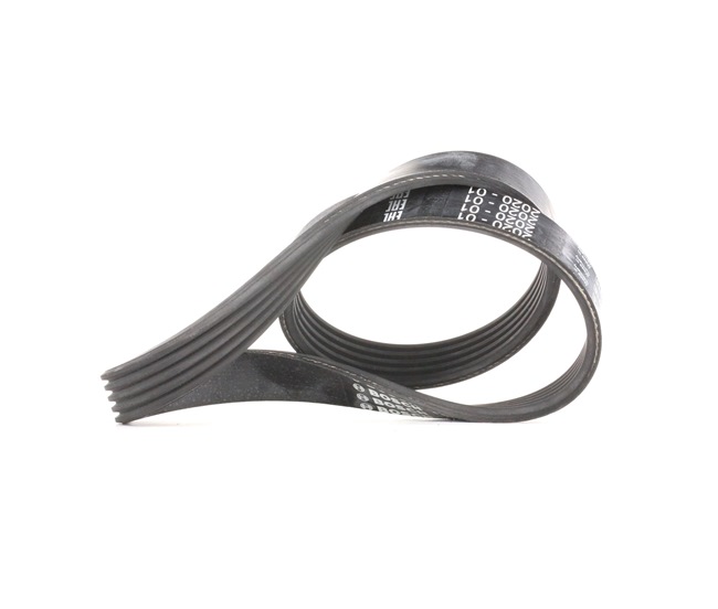 OEM Cinghia servizi per FORD 2.0 CNG 145 CV Benzina/Gas naturale (GNC) 1346034 da BOSCH online ad un ottimo prezzo