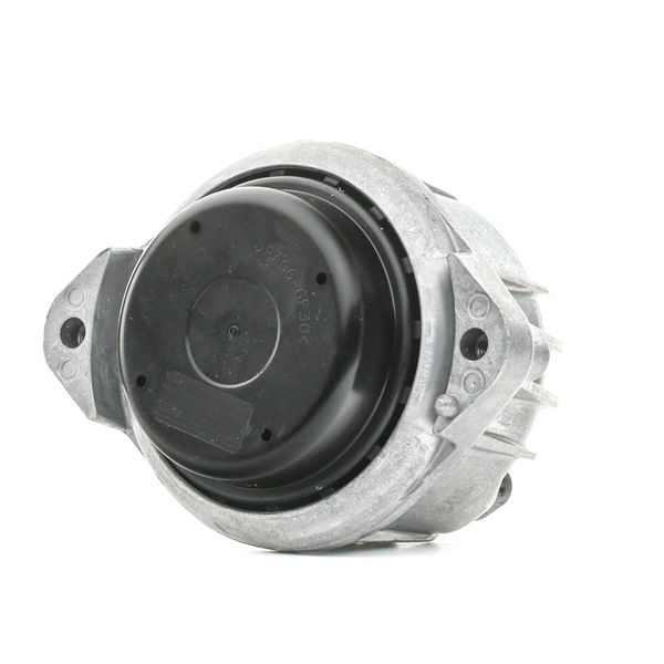 LEMFÖRDER 6 768 800 Motorlager