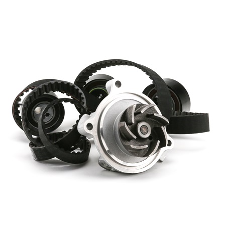 OE Kamrem och vattenpump VW TRANSPORTER 2017 046109119, 074109119A, 074109119B från INA
