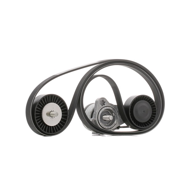 OE Kit de correa poly V BMW 507 1957 11287527564, 11287530314, 11287535860 de SKF