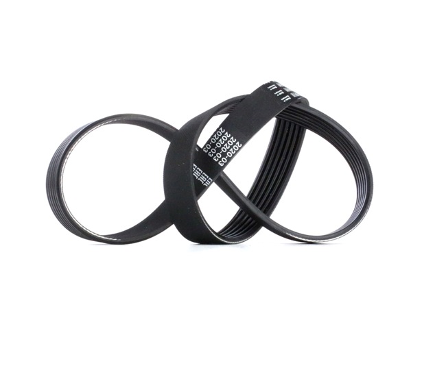 Originale TOYOTA VERSO Keilrippenriemen 1011697, 1654387, 31110P13003 von BOSCH - Reduzierte Konditionen