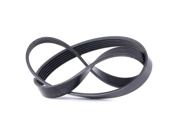 OEM Serpentine belt FORD 1.25 60 HP Petrol 1141317 from FEBI BILSTEIN online at great prices