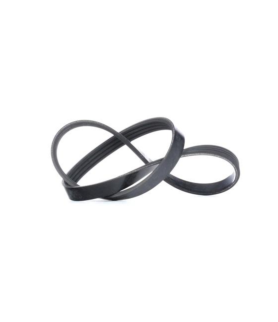 OEM Cinghia servizi FORD TRANSIT MK-5 Furgonato E_ _ 1059982, 7252518, 11718AA020 da BOSCH - risparmia grazie ai nostri prezzi bassi