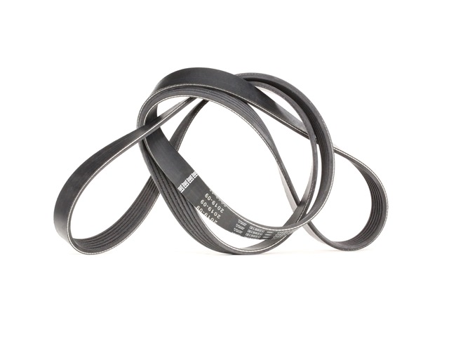 OE OPEL FRONTERA 2015 Ribbed belt 0099971392, 078903137BL, 1L5Z8620BC from BOSCH