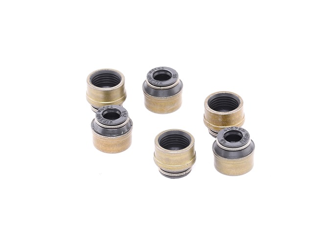 Klepseal SMART in originele kwaliteit 55190344, 11341340849, 1535535 van REINZ