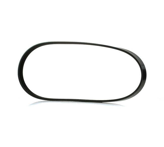 Compre Correa trapecial poli V AD04R725 original asequible comparable con números OEM online 1195072B01