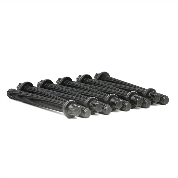 Cumpărați online Set surub, chiulasa 81008600 original/ă și la un preț mic, compatibil/ă cu nr. OEM 11121713200