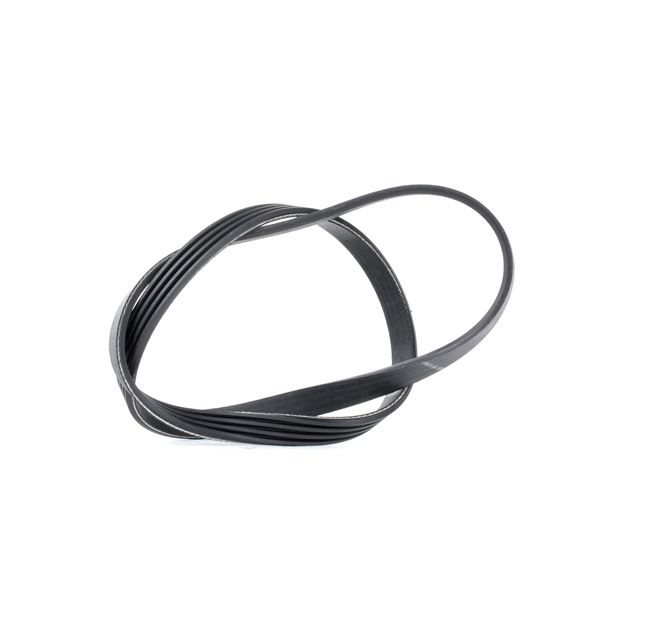 OEM Multiriem IVECO 2.3 35C11, 35S11, 35S11 D, 35S11 /P 106 PK Diesel 504066407 van DAYCO online aan geweldige prijzen