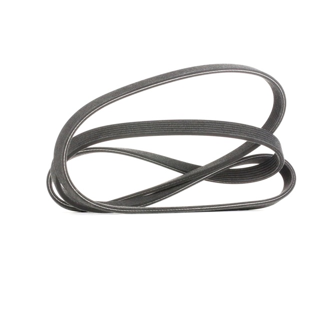 Compre Correa trapecial poli V 6DPK1817 original asequible comparable con números OEM online 7800345