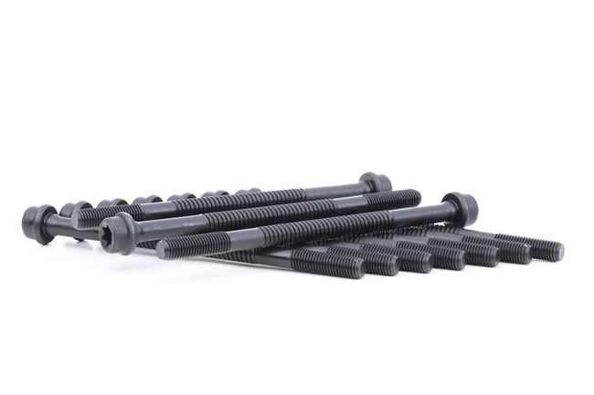 OEM Sylindertoppskrue Samba 51A 1982 02045710X, 020497, 02049710X REINZ