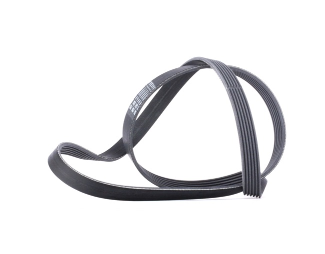 OE Rippenriemen FIAT REGATA 1994 022145933AG, 022145933AP, 03G903137E von CONTITECH