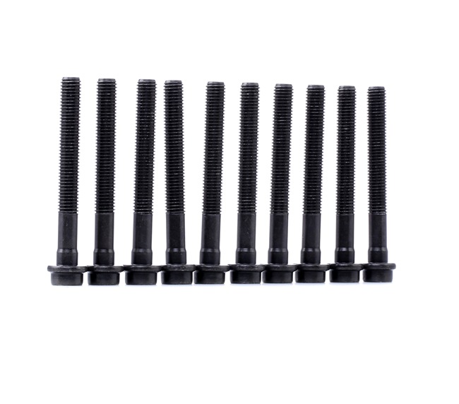 OEM Surub chiulasa VW LT 28-35 II Bus 1999 102990081010X, 068103384A, 068103384A12X REINZ