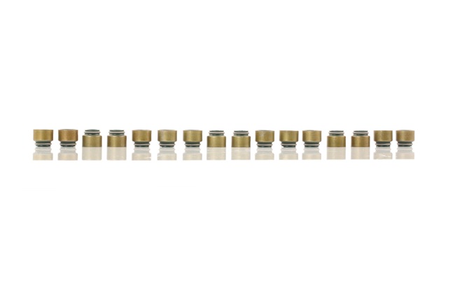 OE SUBARU JUSTY 2014 Valve seals 092890501216X, 94535482, 96059936 from REINZ