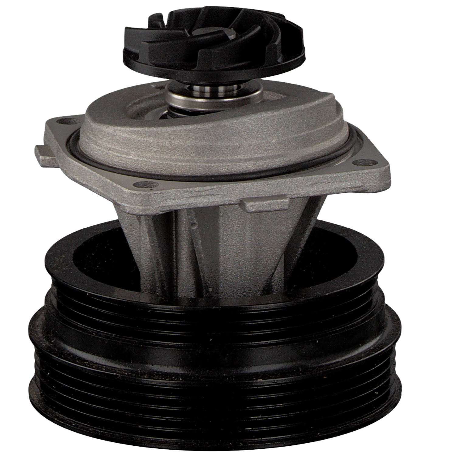 OE Kühlmittelpumpe FIAT MULTIPLA 2002 46400058, 46444355, 46444355SK von FEBI BILSTEIN