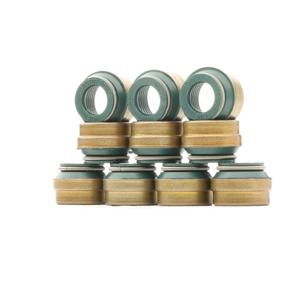 OE Paraoli steli valvole AUDI 200 1980 02610967510X, 46440885, 60548495 di REINZ