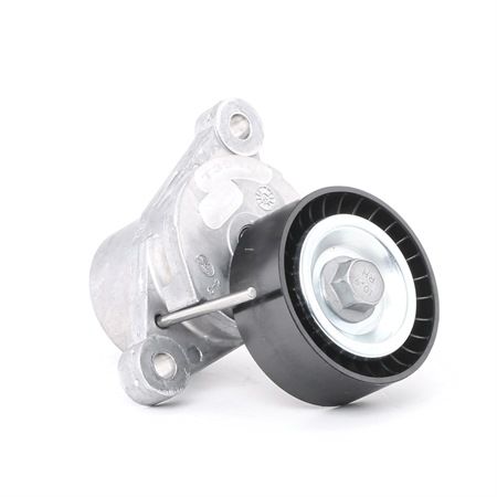 OEM Întinzător CITROËN C3 II Van / Hatchback (SC) 2019 16114265, 1611426580, 5751J6 GATES