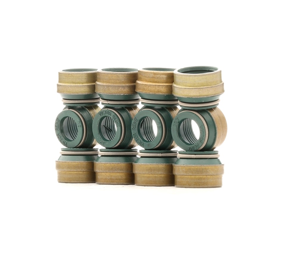 REINZ Dichtungssatz, Ventilschaft Produkt Nr.: 12-25837-03 zum günstigen Preis von 9,67 € kaufen