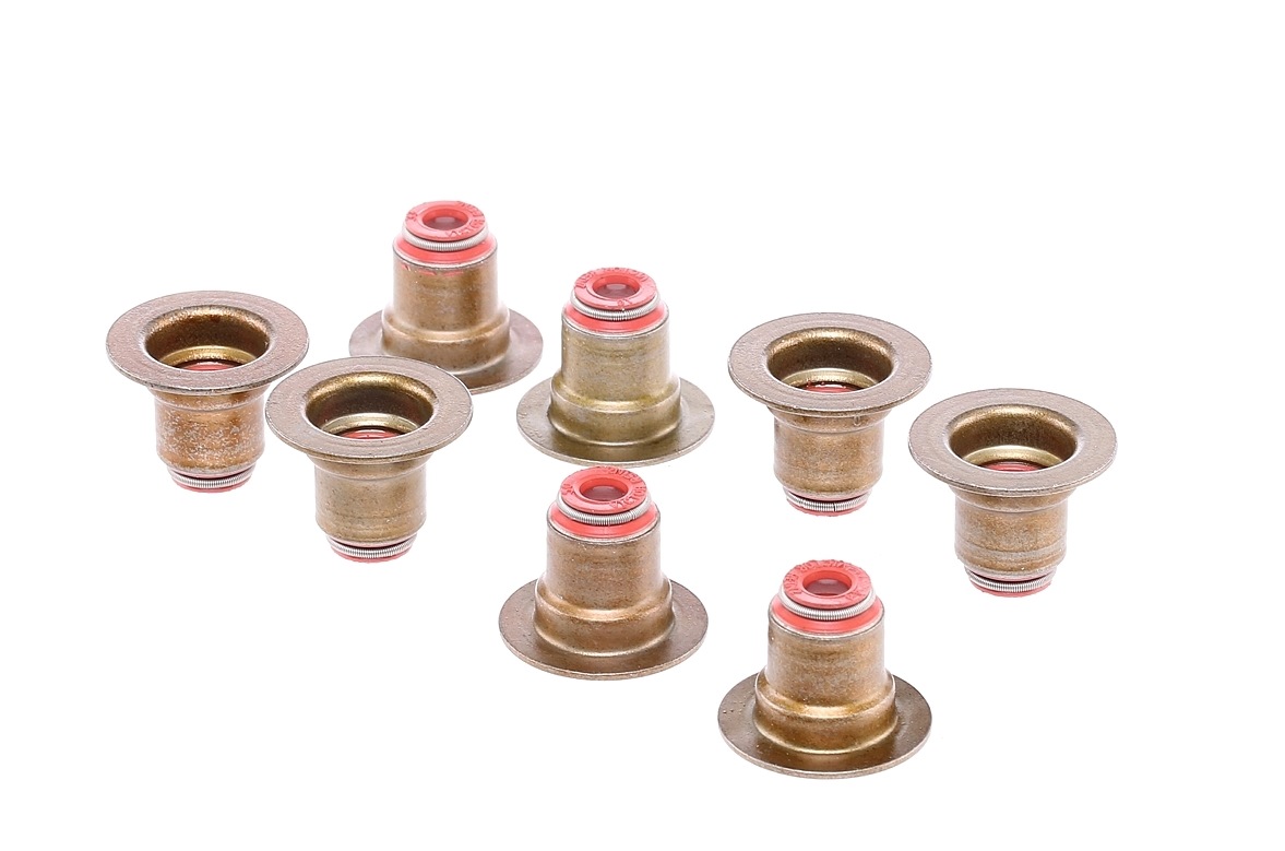 REINZ Dichtungssatz, Ventilschaft Produkt Nr.: 12-35548-01 zum unschlagbaren Preis von 14,19 € erstehen