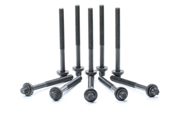 OE Juego de tornillos de culata BMW Serie 1 2016 11129067792, 11122243255, 1112224325510X de REINZ
