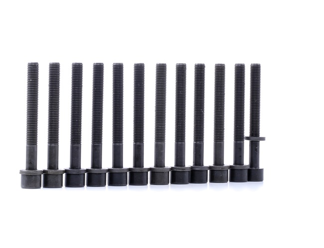 OEM Topplocksbultsats VW 2.0 Syncro 116 hk Bensin 049103384B12X från REINZ på nätet till fantastiska priser