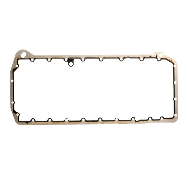 Dichtung Ölwanne BMW E70 2009 REINZ 71-37408-00