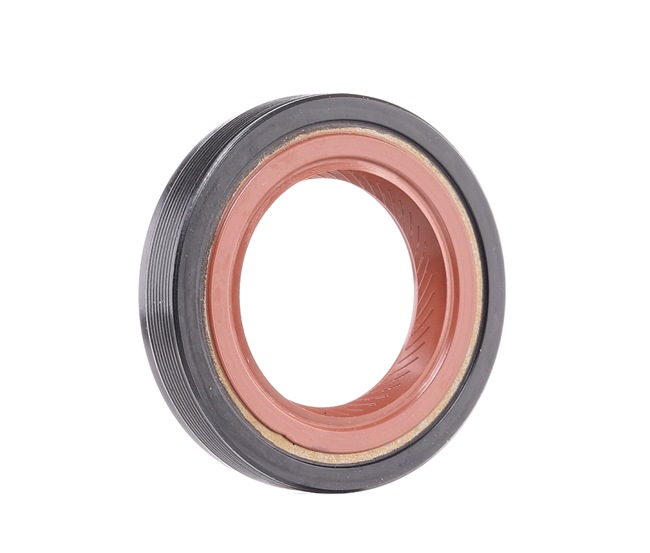 OEM Retentor, cambota OPEL 1.2 i (F08, M08, F68, M68) 45 CV Gasolina 646274 de REINZ online a preços excelentes