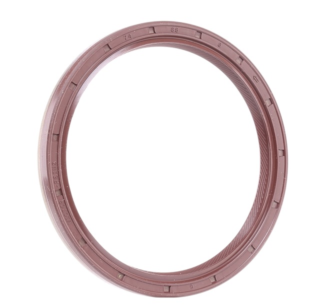 OE FIAT MOBI Paraolio albero a gomiti 1565564, 71754491, 7724665 da REINZ - prezzi ridotti