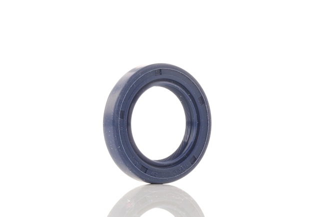 REINZ Camshaft seal 81-53224-00