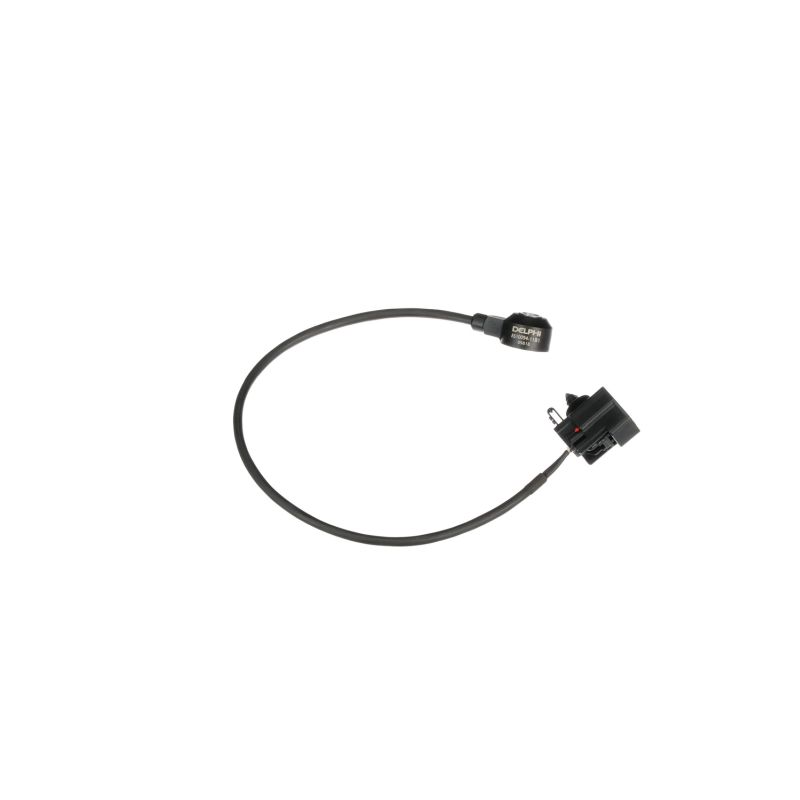 Įsigykite DELPHI Detonacijos jutiklis Prekės Nr.: AS10094 už žemiausią 98,95 € kainą