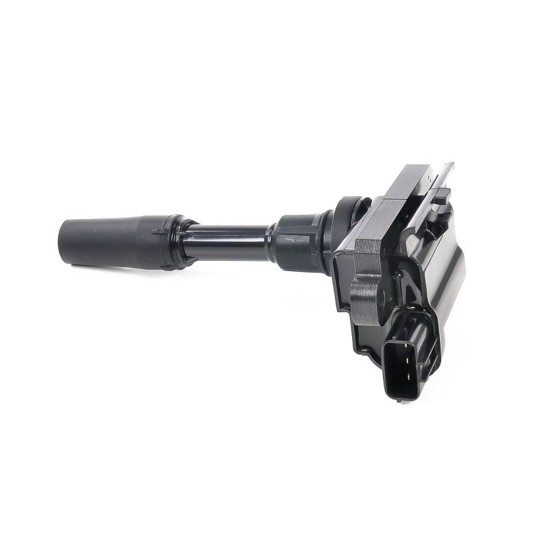 Įsigykite DELPHI Uždegimo ritė Prekės Nr.: GN10302-12B1 už žemiausią 45,79 € kainą