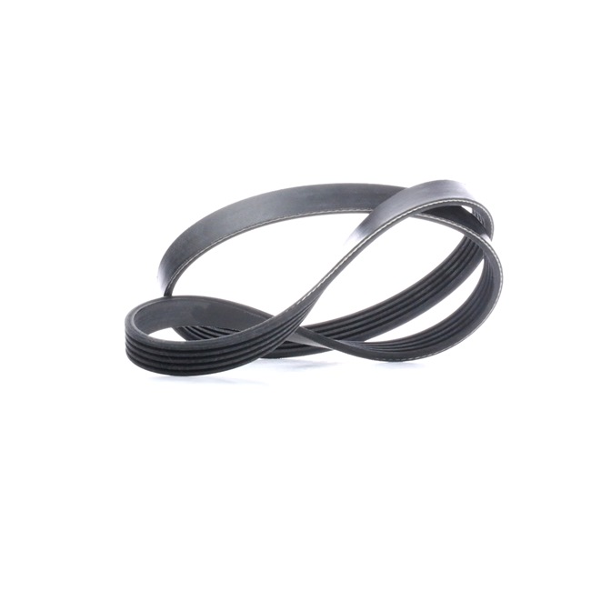 OEM Multiriem OPEL 1.6 i (F08, M08, F68, M68) 75 PK Benzine 079903137AJ van FEBI BILSTEIN online aan verbazingwekkende prijzen