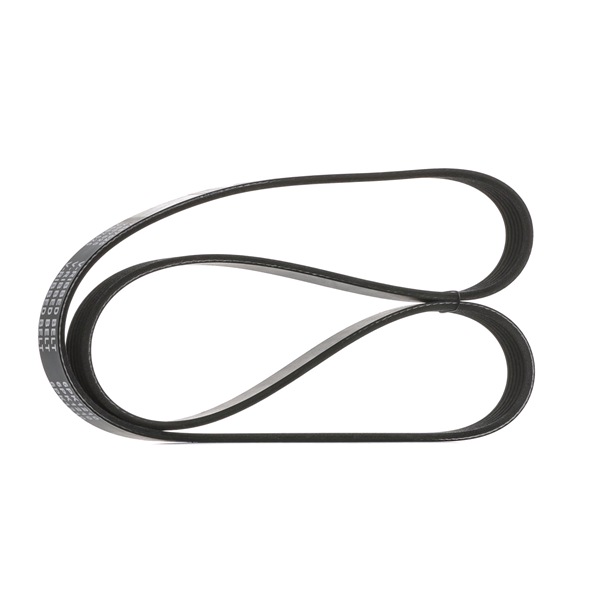 STARK Cinghia servizi SK-6PK1210