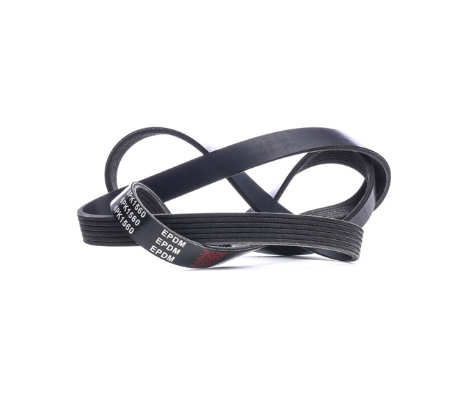 Buy cheap original Serpentine belt SK-6PK1560 comparable with 3417142 OEM numbers online