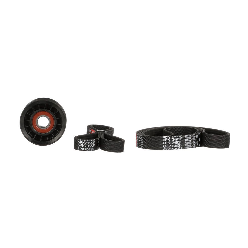 OEM Poly V-riem set FORD 2.0 LPG 145 PK Benzine/Autogas (LPG) 2110252 van GATES online aan verbazingwekkende prijzen