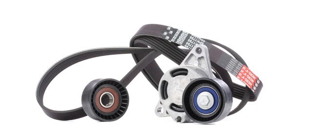 OEM Multiriem set RENAULT Trafic I Flatbed Vrachtwagen/Chassis (PX) 2000 4404158, 4415629, 6PK1795 GATES