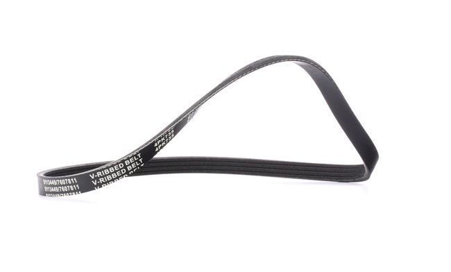 Vásároljon online olcsó, eredeti Hosszbordás szíj SK-4PK735 alkatrészt, mely összehasonlítható a 25183063 OEM számmal