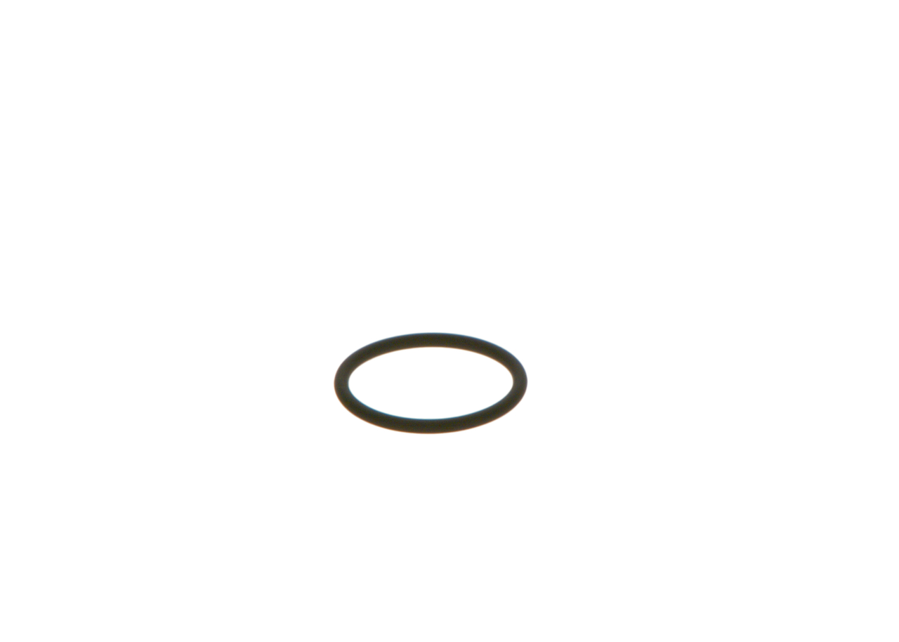 Wärmeschutzscheibe IVECO in Original Qualität 0000770260, 04123016, 16452RL0G01 von BOSCH